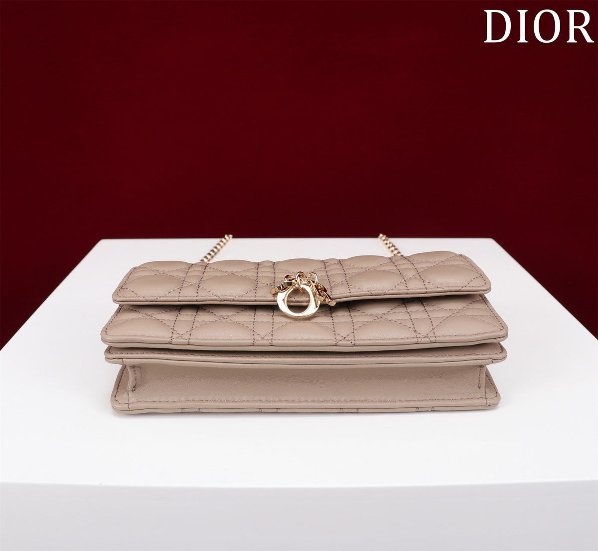 Christian Dior  My Dior Mini Bag