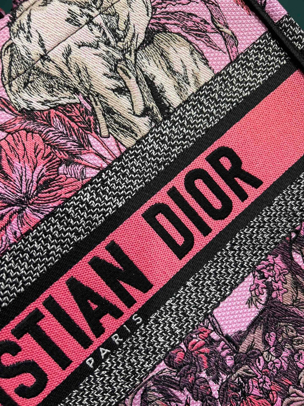 Christian Dior Book Tote Bag