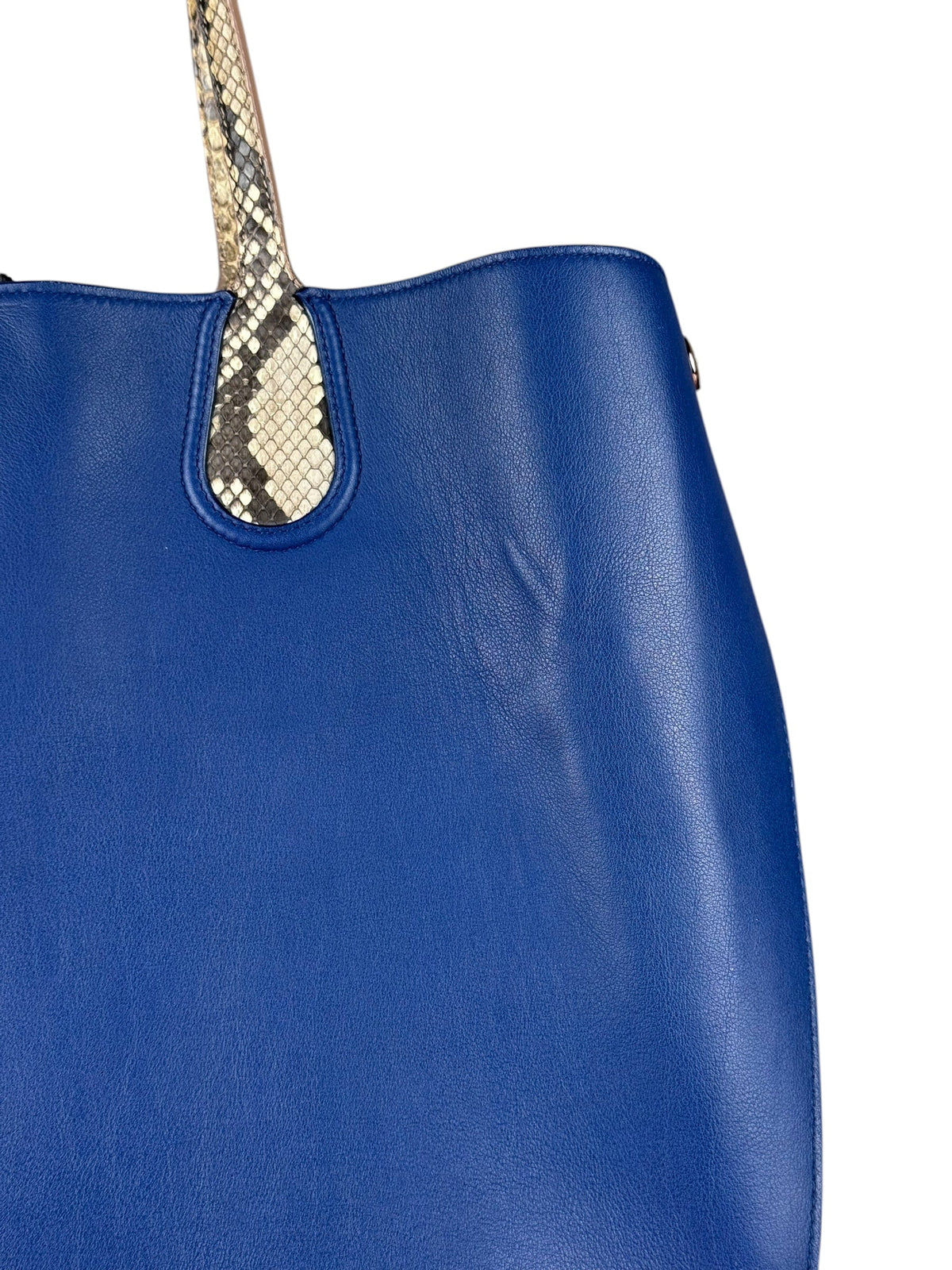 Christian Dior Python Trimmed Blue Addict Tote Rovelle Bags