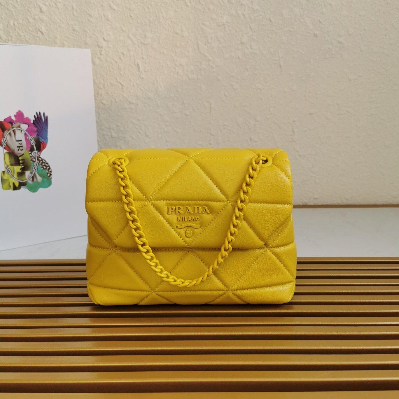 Medium Nappa Leather Prada Spectrum Bag
