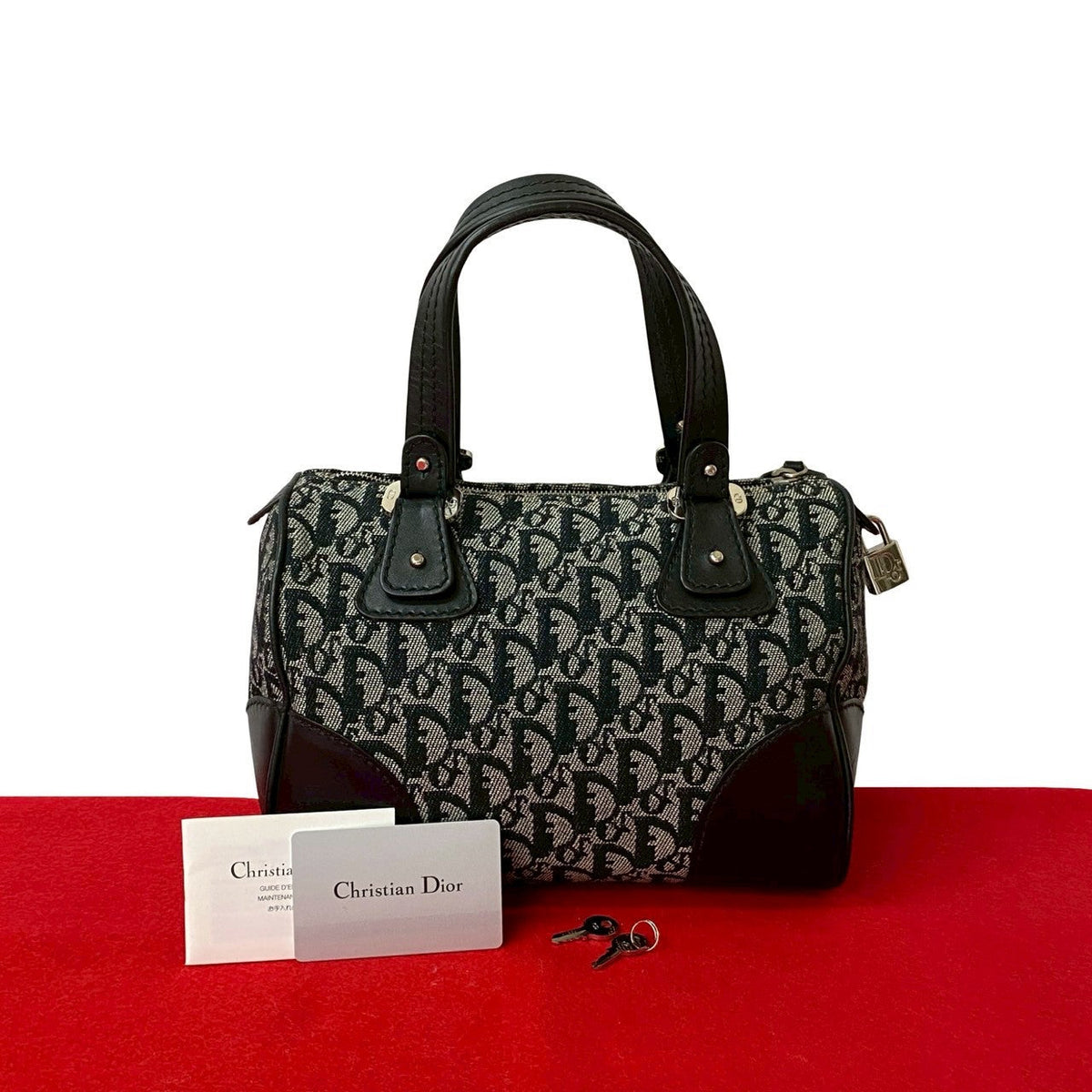 Dior Handbag canvas black Rovelle Bags
