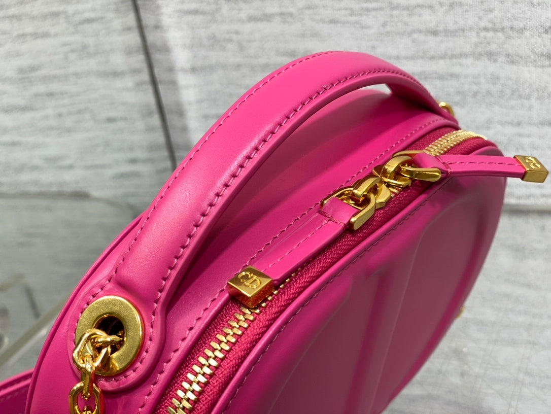 Christian Dior  Signature Oval Camera Bag