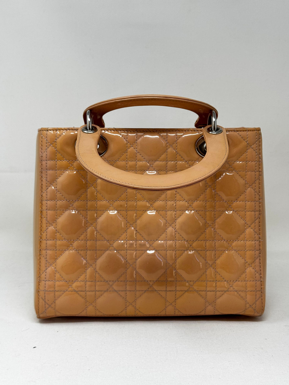 Dior Luxury Leather Handbag Style 21 Rovelle Bags