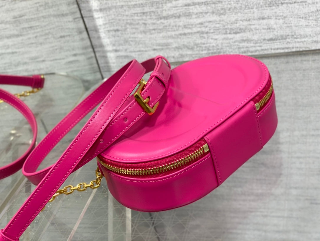 Christian Dior  Signature Oval Camera Bag