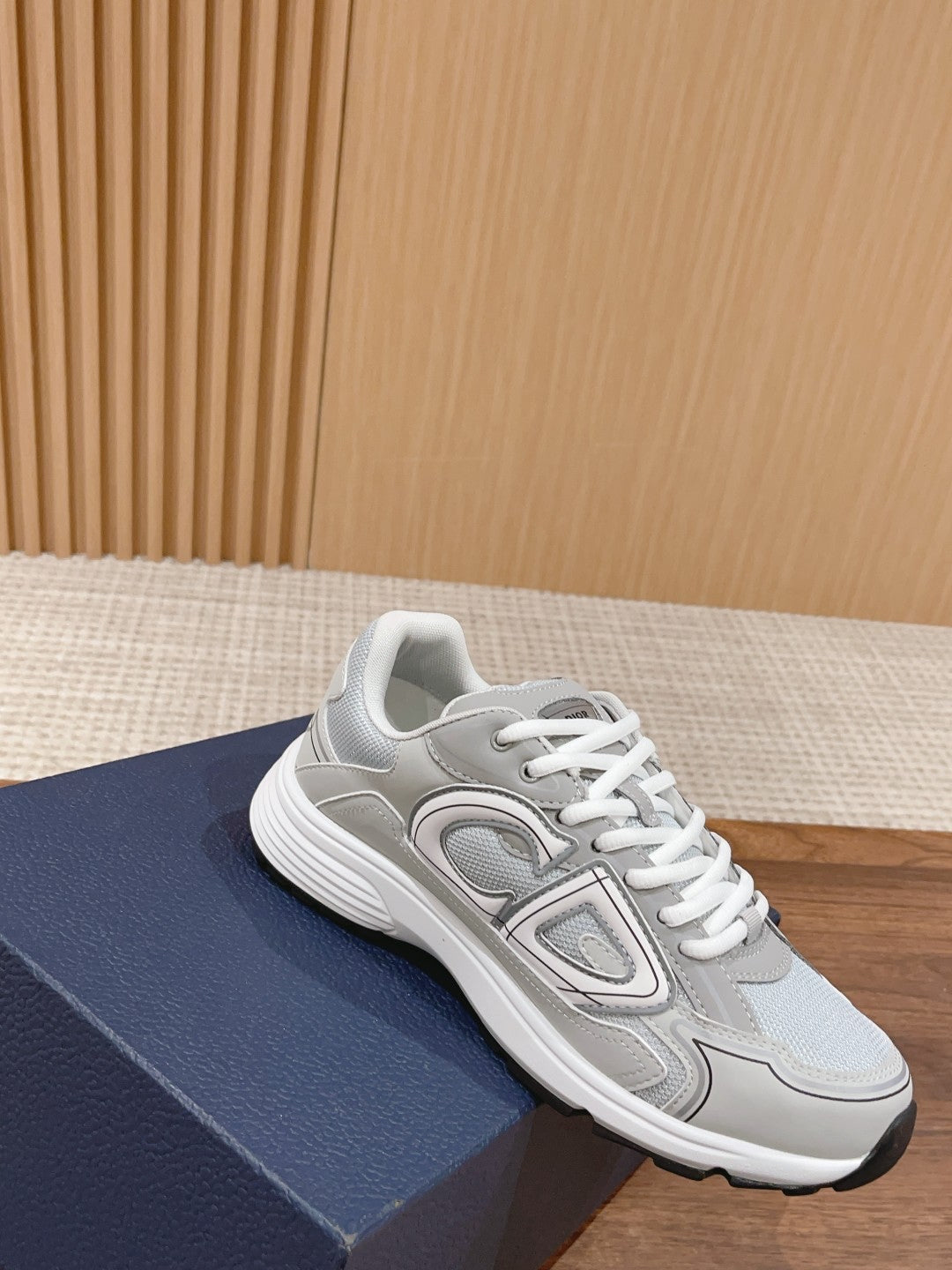 Christian Dior Men B30 Sneaker