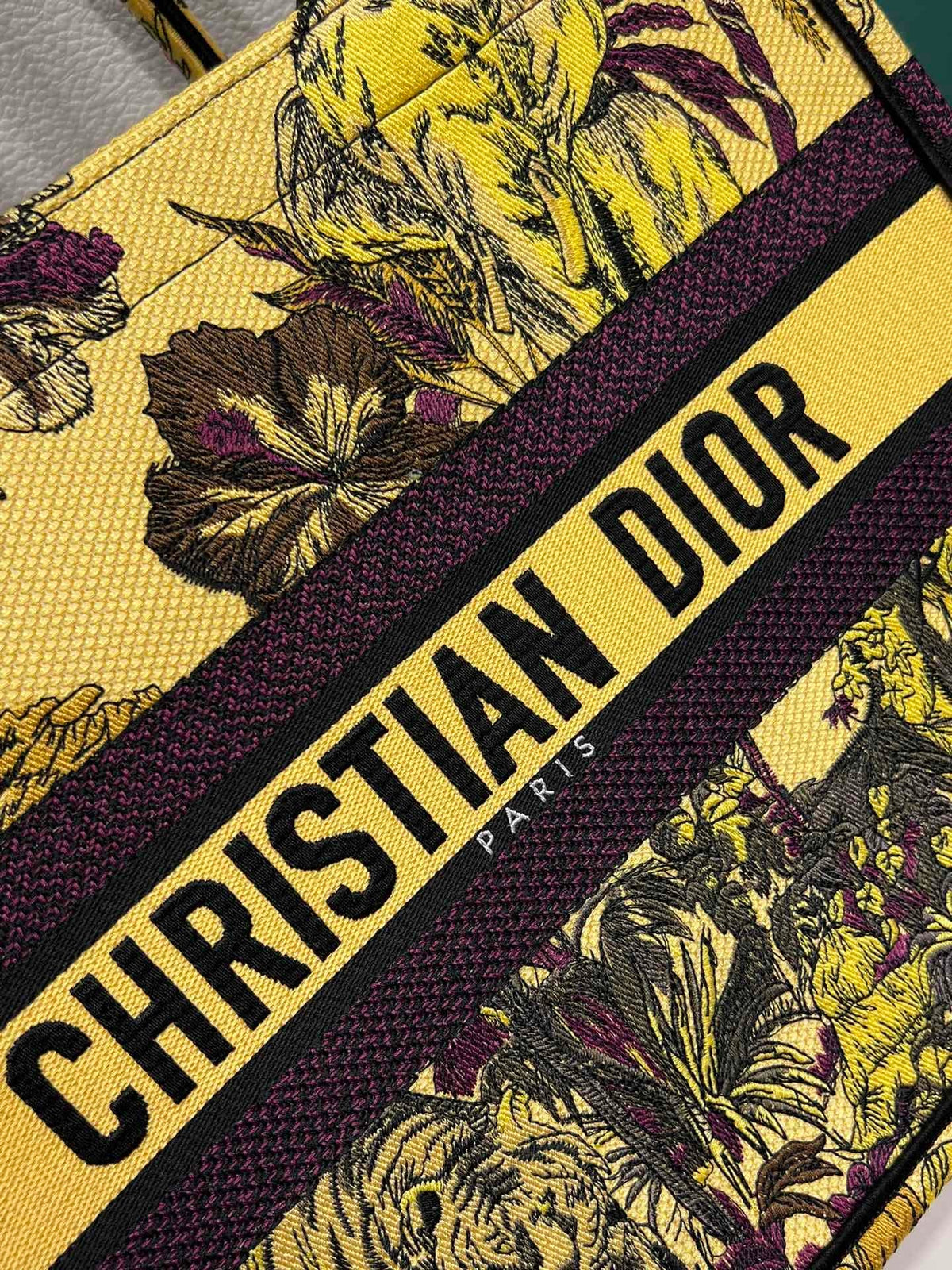 Christian Dior Book Tote Bag