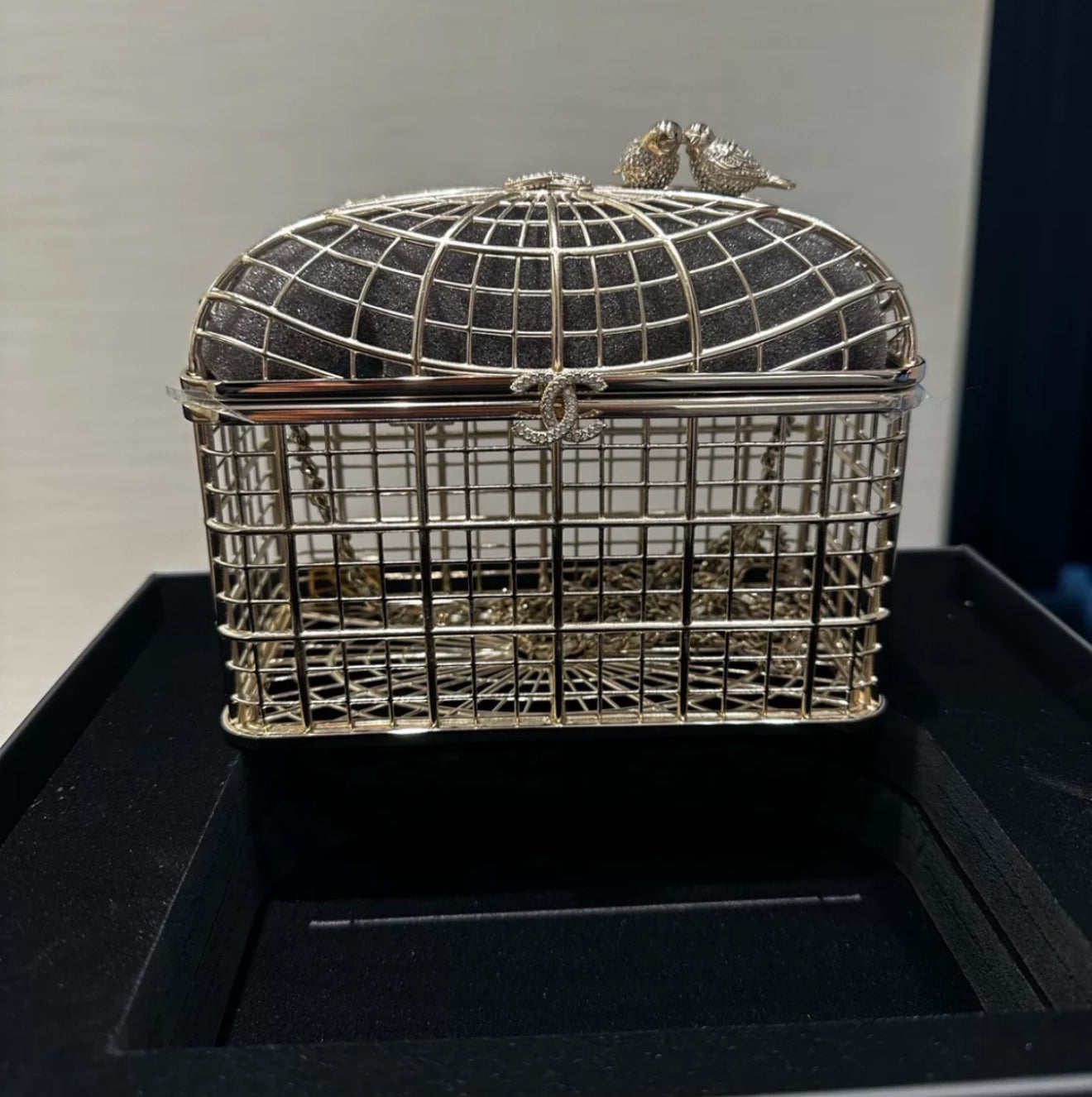 Chanel 25S Birdcage Evening Bag Rovelle Bags