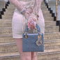 Dior Mini Handbag Rovelle Bags