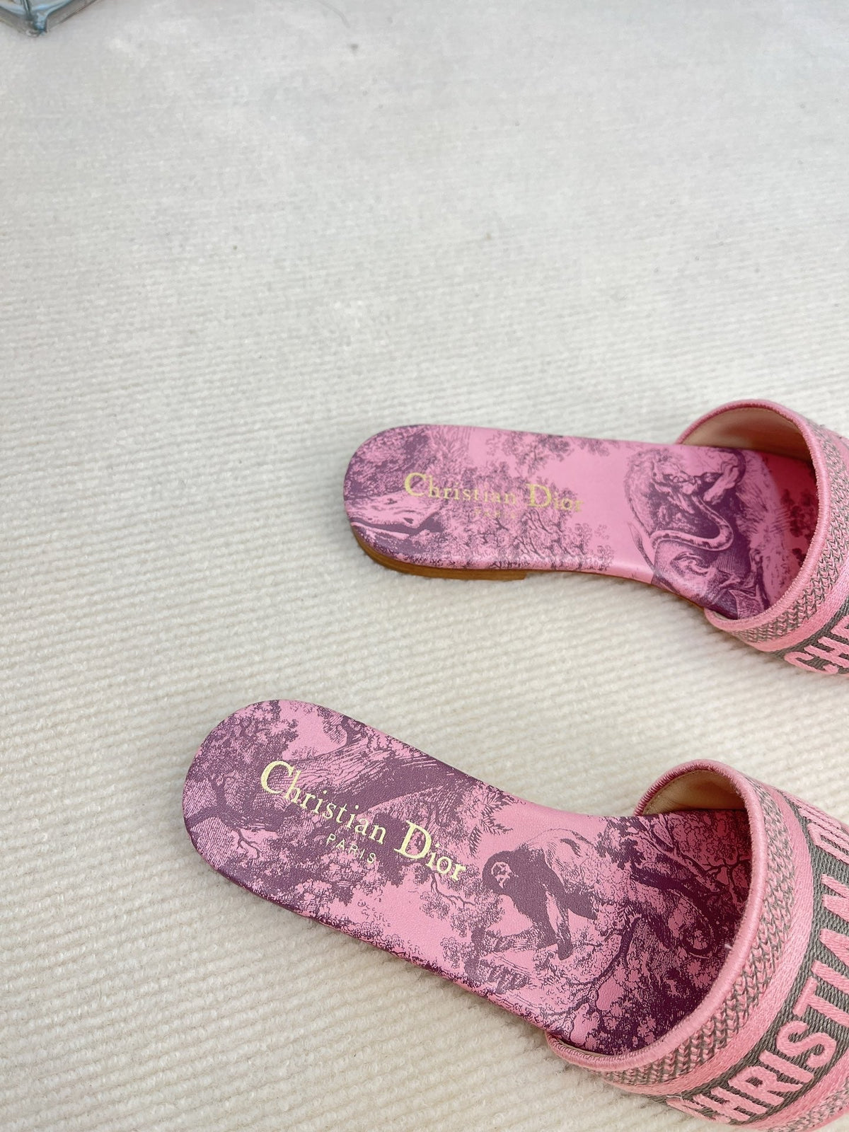 Christian Dior Dway Slide