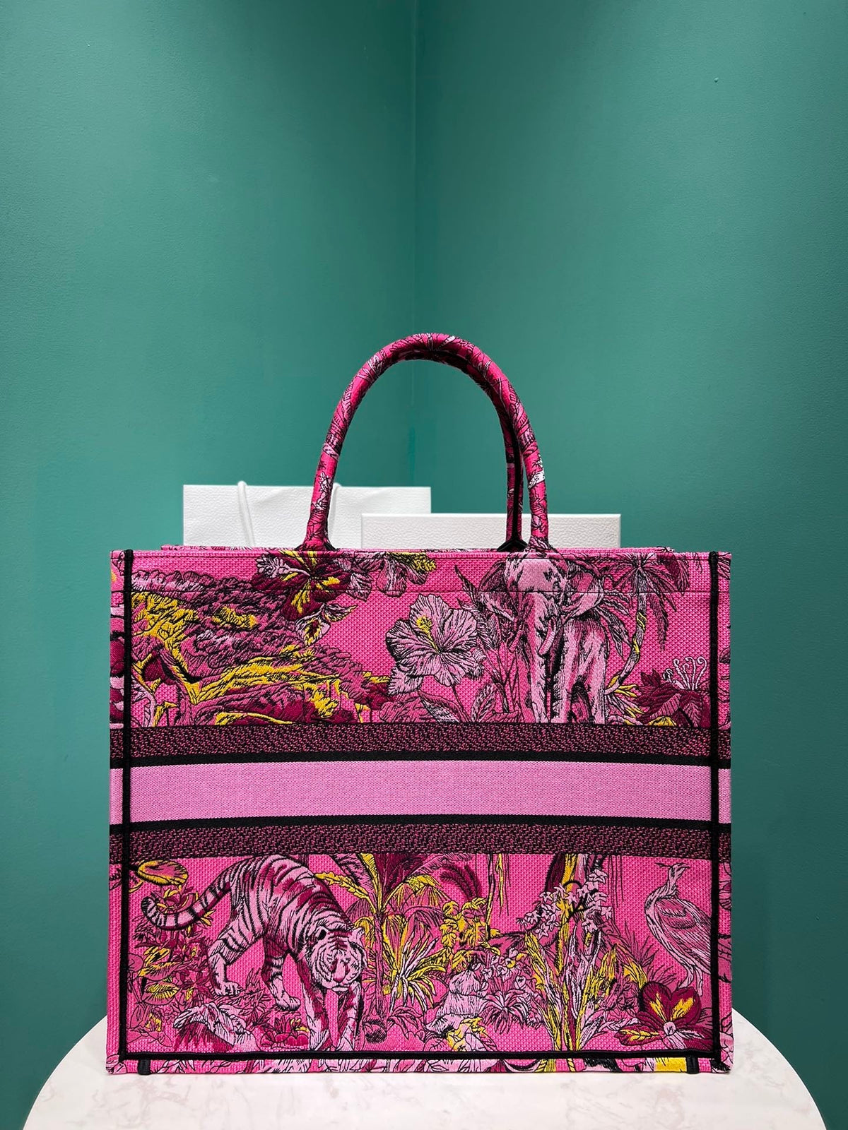 Christian Dior Book Tote Bag