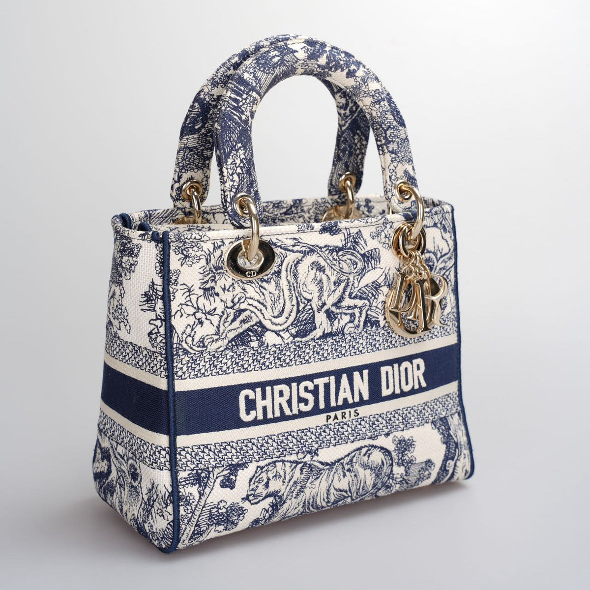 Christian Dior Lady Dior D-Lite Bag Medium In Canvas Rovelle Bags