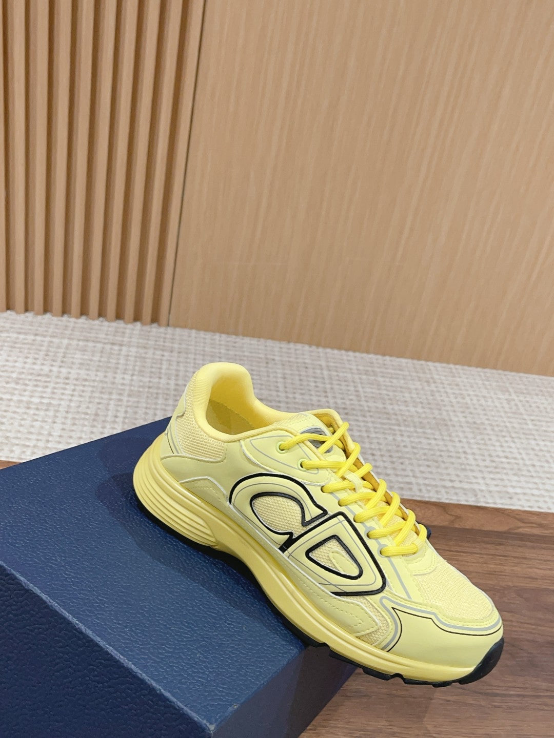 Christian Dior Men B30 Sneaker