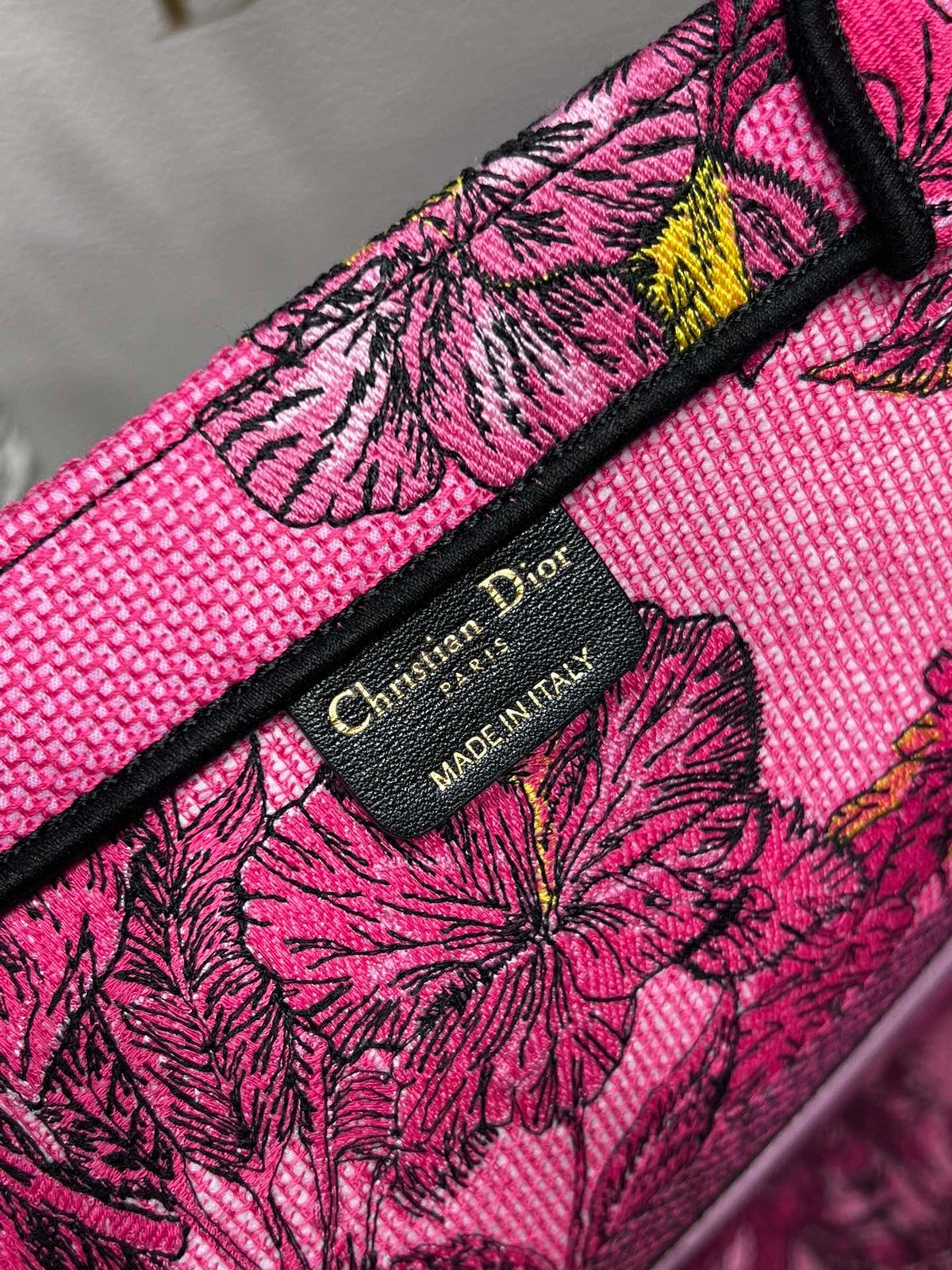 Christian Dior Book Tote Bag