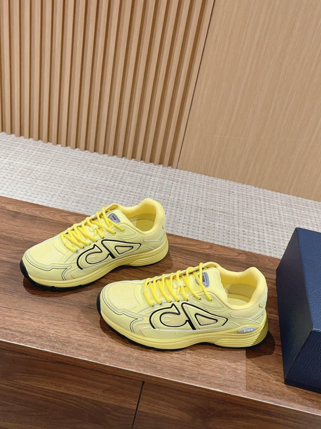 Christian Dior Men B30 Sneaker