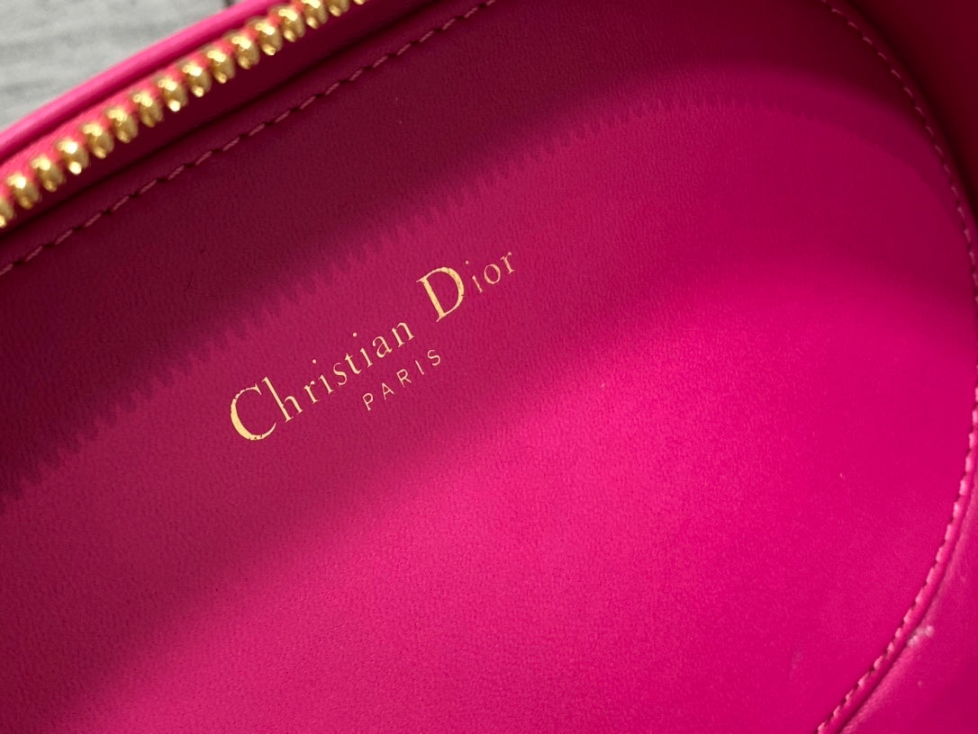 Christian Dior  Signature Oval Camera Bag