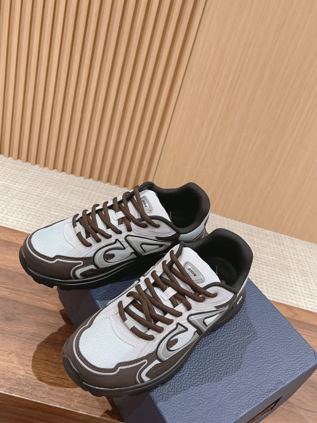 Christian Dior Men B30 Sneaker