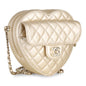 Chanel Luxury Lambskin Gold Handbag Style 9 Rovelle Bags