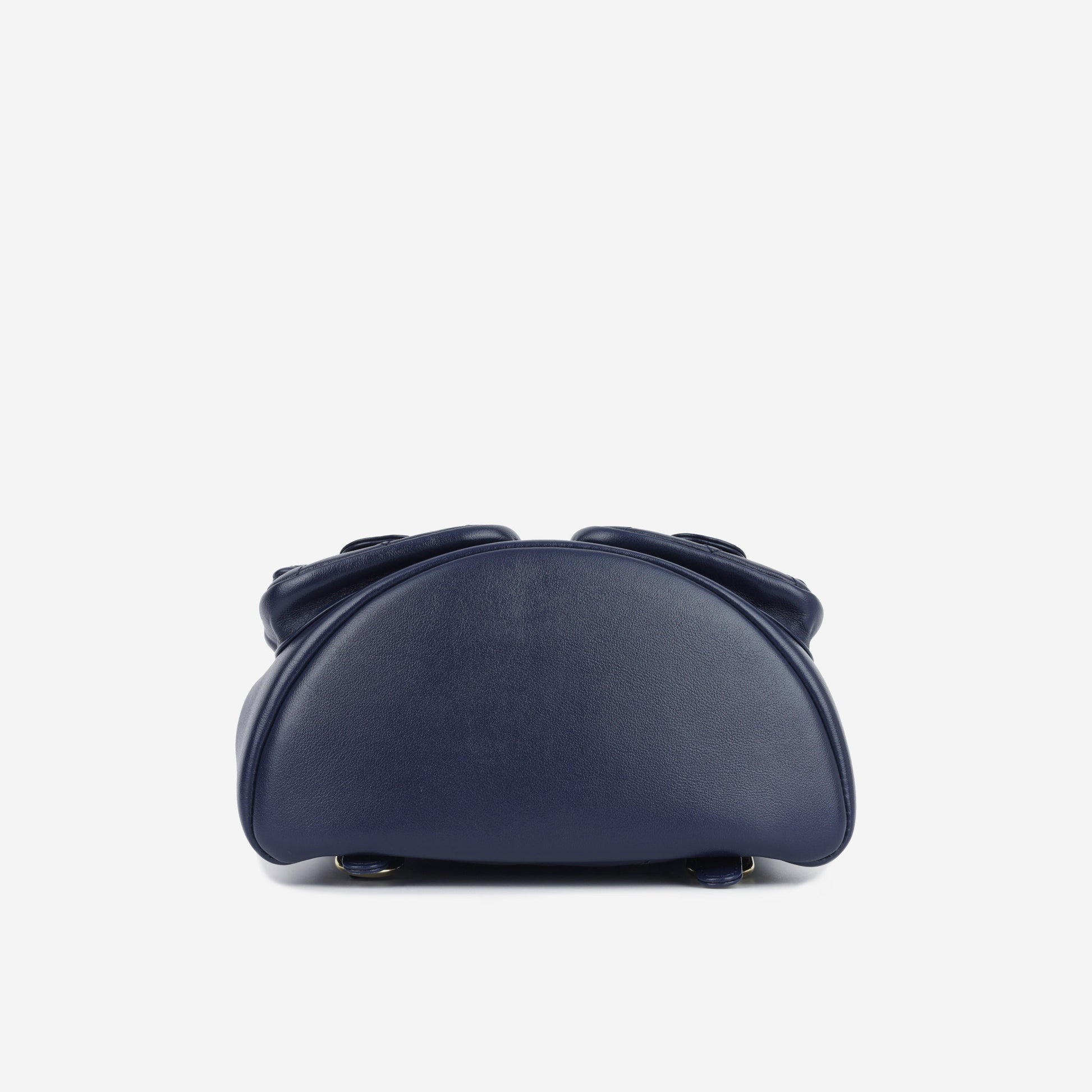 Chanel Luxury Lambskin Gold Backpack Lambskin Rovelle Bags