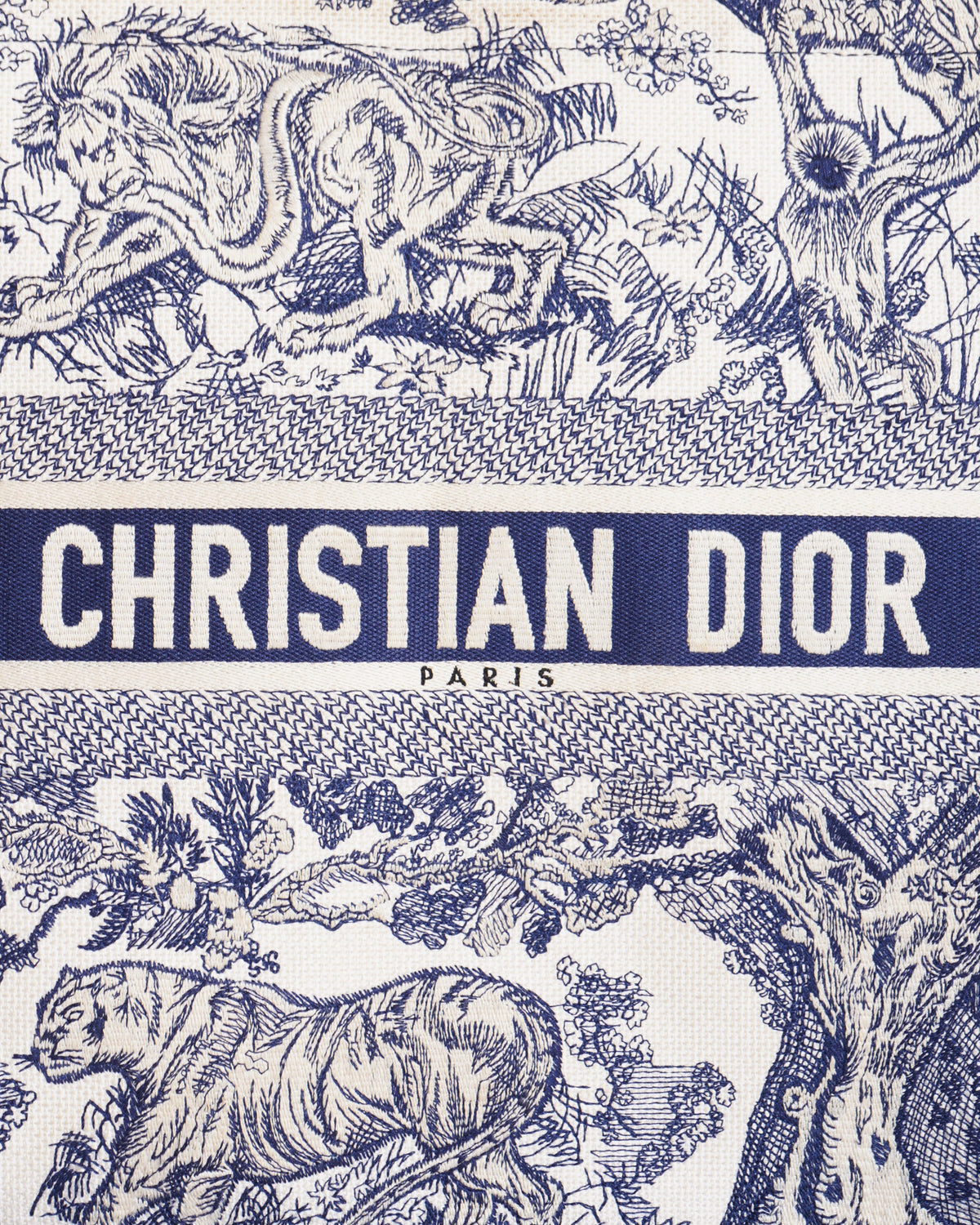 Christian Dior Large Book Tote Rovelle Bags
