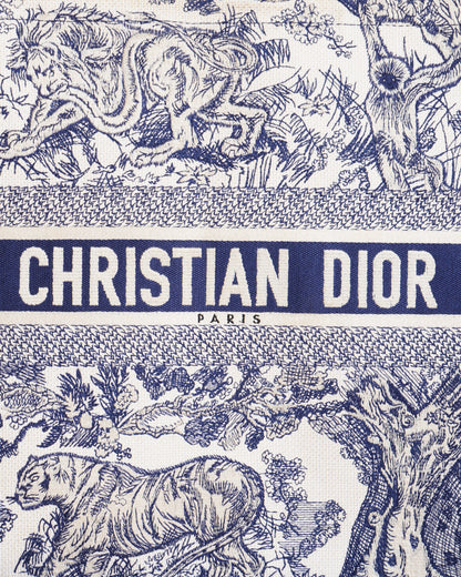 Christian Dior Large Book Tote Rovelle Bags