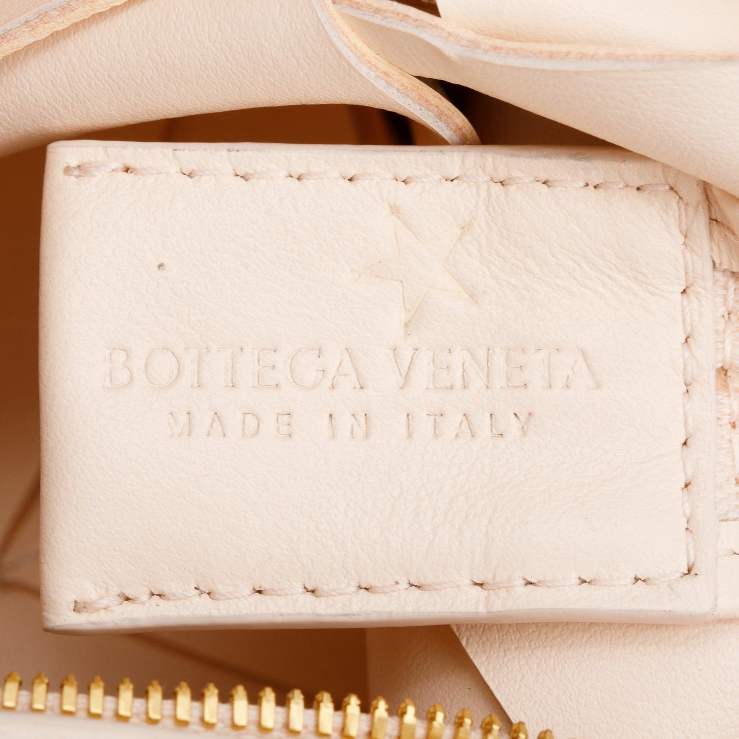 Bottega Venetaen Lotus Maxi Intrecciato Nappa Leather Mini Cassette Camera Bag
