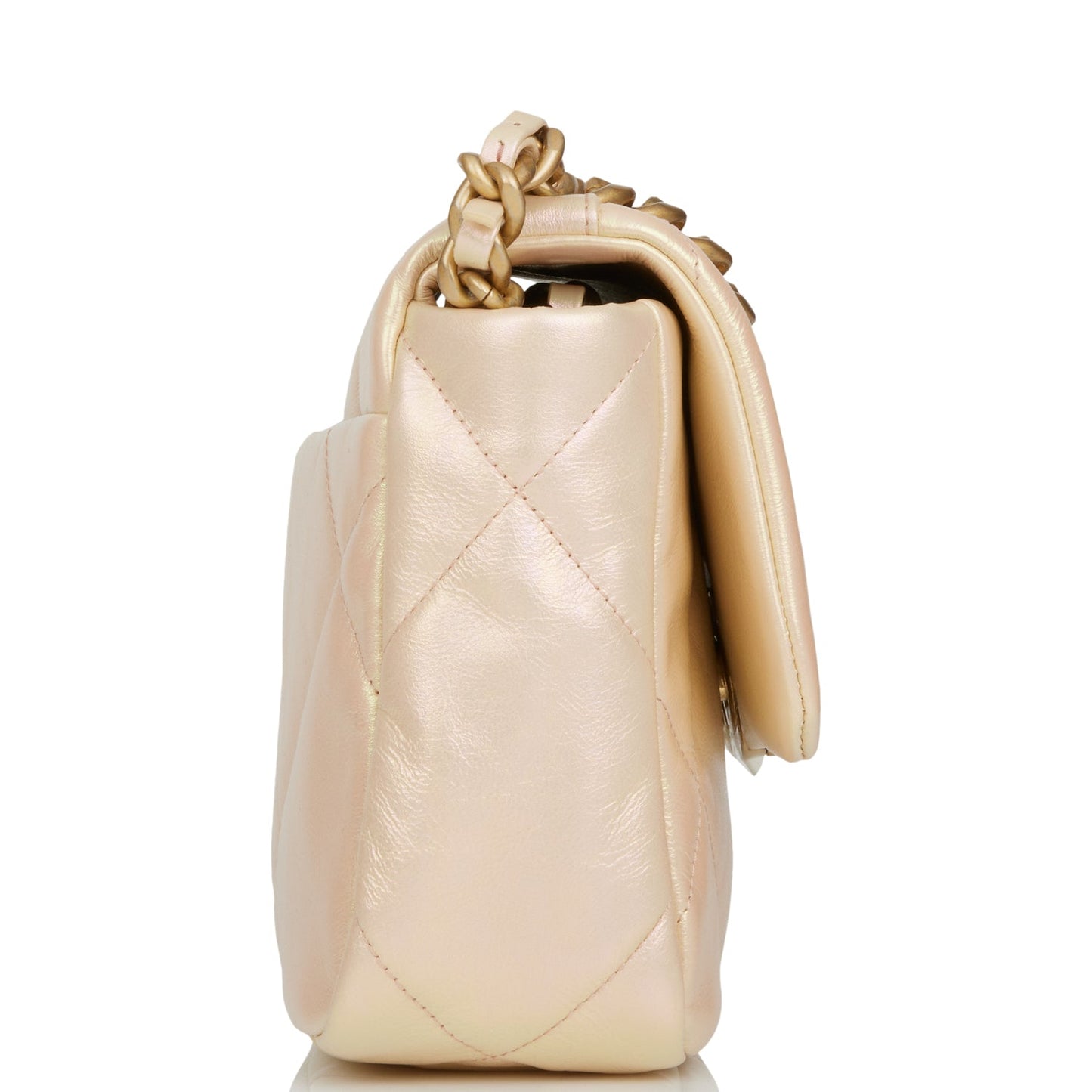 Chanel Medium 19 Flap Bag Rose Iridescent Calfskin Mixed Hardware Rovelle Bags