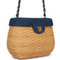 Chanel Luxury Leather Gold Handbag Leather Rovelle Bags