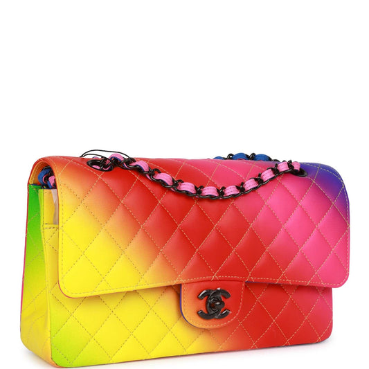 Chanel Medium Classic Double Flap Bag Rainbow Lambskin Black Hardware Rovelle Bags