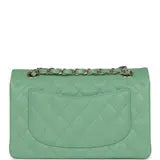 Chanel Classic Double Flap 25 Shoulder Bag Emerald Green