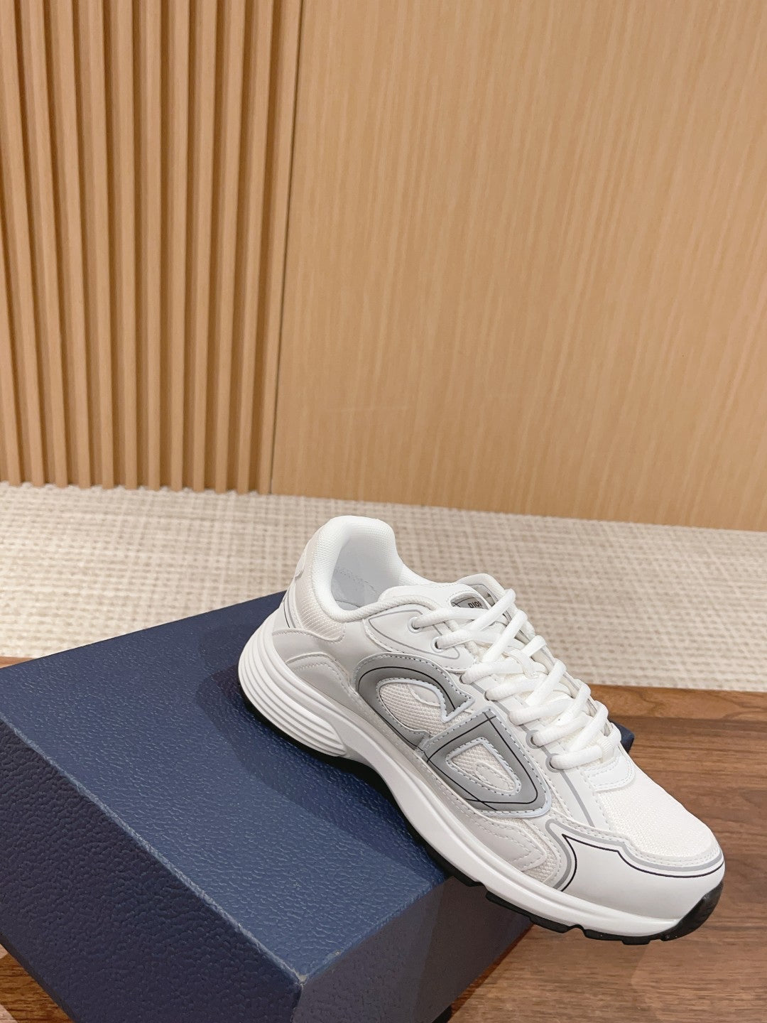 Christian Dior Men B30 Sneaker