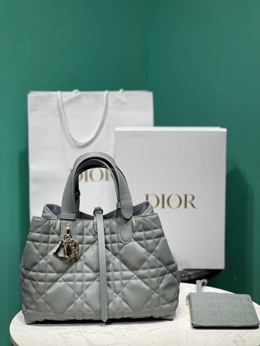 Christian Dior Medium Toujours Bag