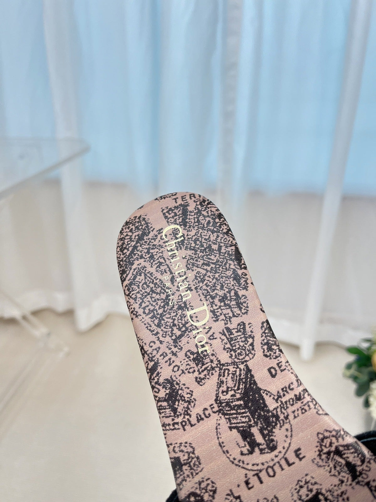 Christian Dior Dway Slide