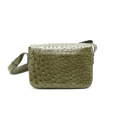 Luxury CELINE Ostrich Triomphe Bag