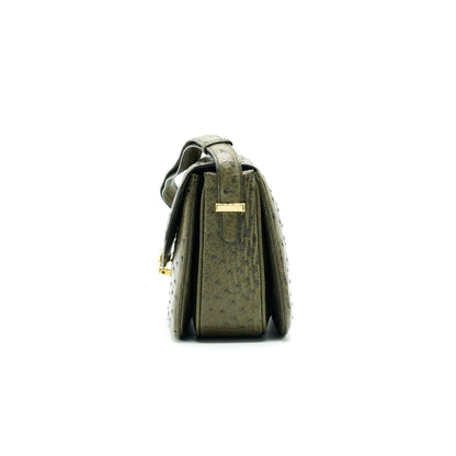 Luxury CELINE Ostrich Triomphe Bag