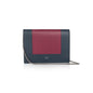 Celine Frame Evening Clutch on Chain