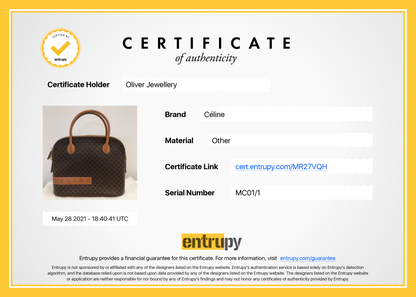 Celine Vintage Macadam Triomphe Dome Bag