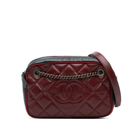 Chanel Small Bicolor Quilted Calfskin Ballerine Camera Bag Rovelle Bags