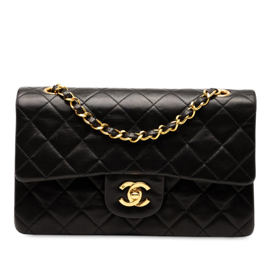 Chanel Small Classic Lambskin Double Flap Rovelle Bags