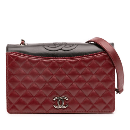 Chanel Small Quilted Lambskin Ballerine Flap Bag Rovelle Bags