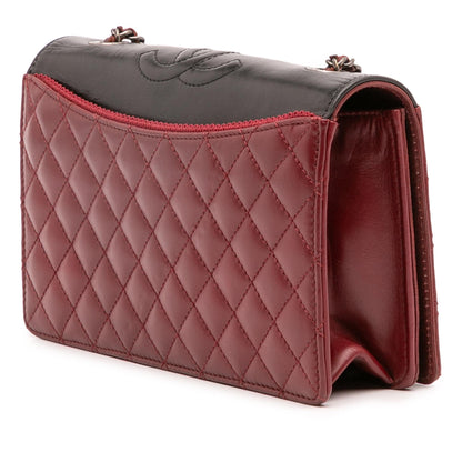 Chanel Small Quilted Lambskin Ballerine Flap Bag Rovelle Bags