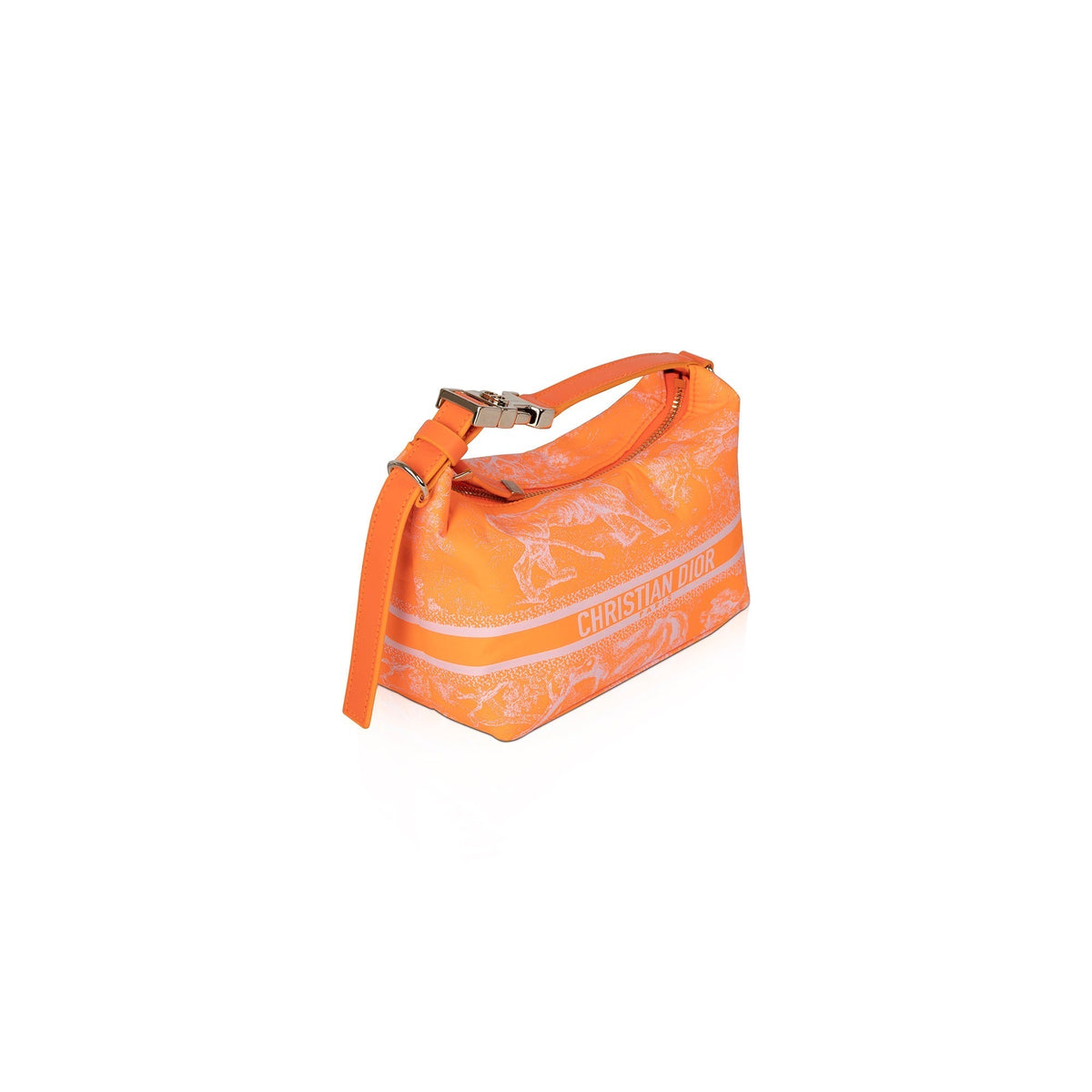Christian 2022 Dior Toile de Jouy DiorTravel Nomad Pouch Rovelle Bags
