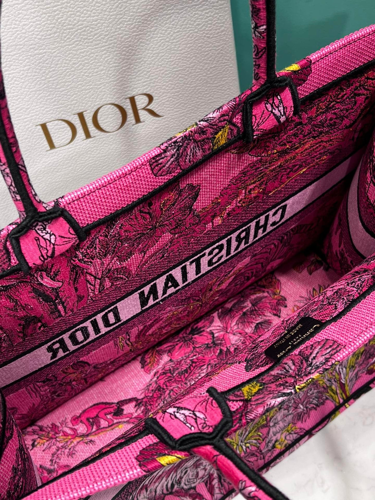 Christian Dior Book Tote Bag