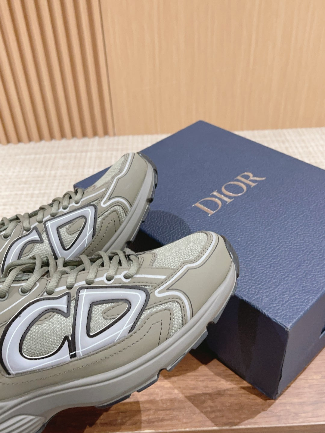 Christian Dior Men B30 Sneaker