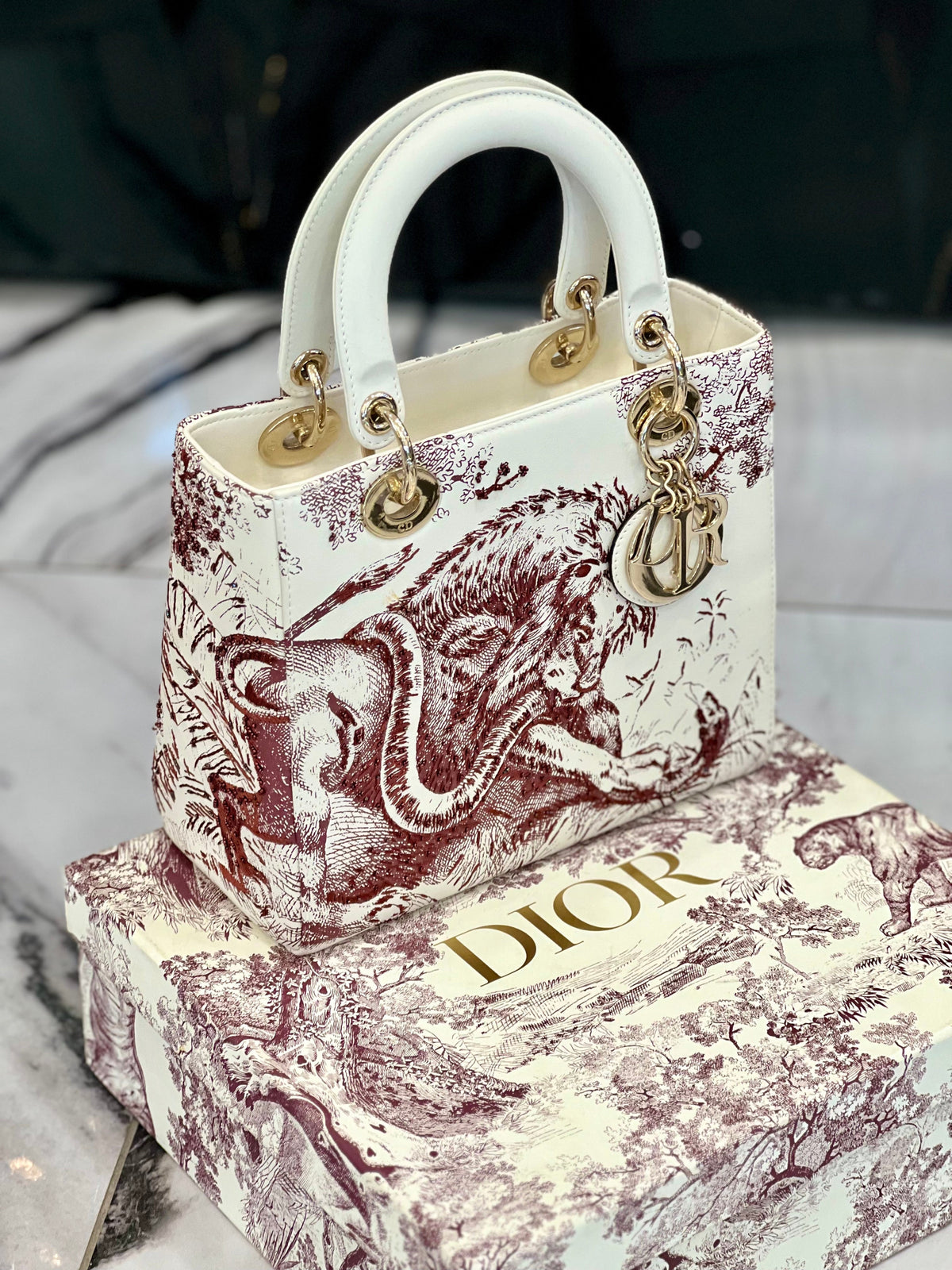 CHRISTIAN DIOR LADY DIOR CALFSKIN EMBROIDERED MEDIUM TOILE DE JOUY BAG Rovelle Bags