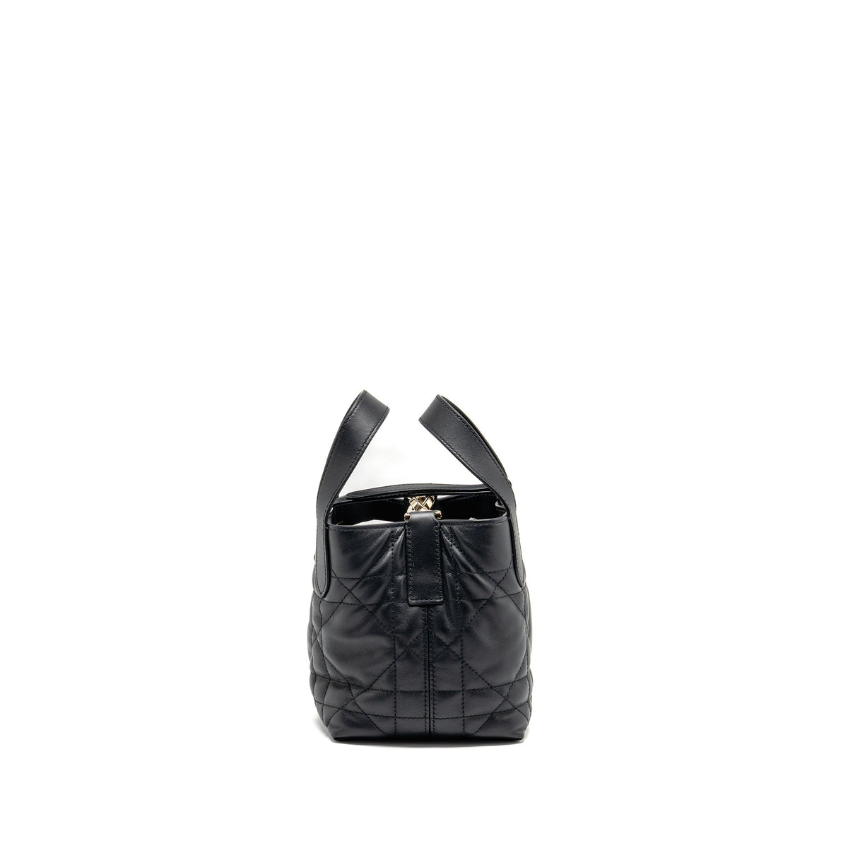 Dior Toujours Vertical Nano Tote Purse calfskin black Rovelle Bags