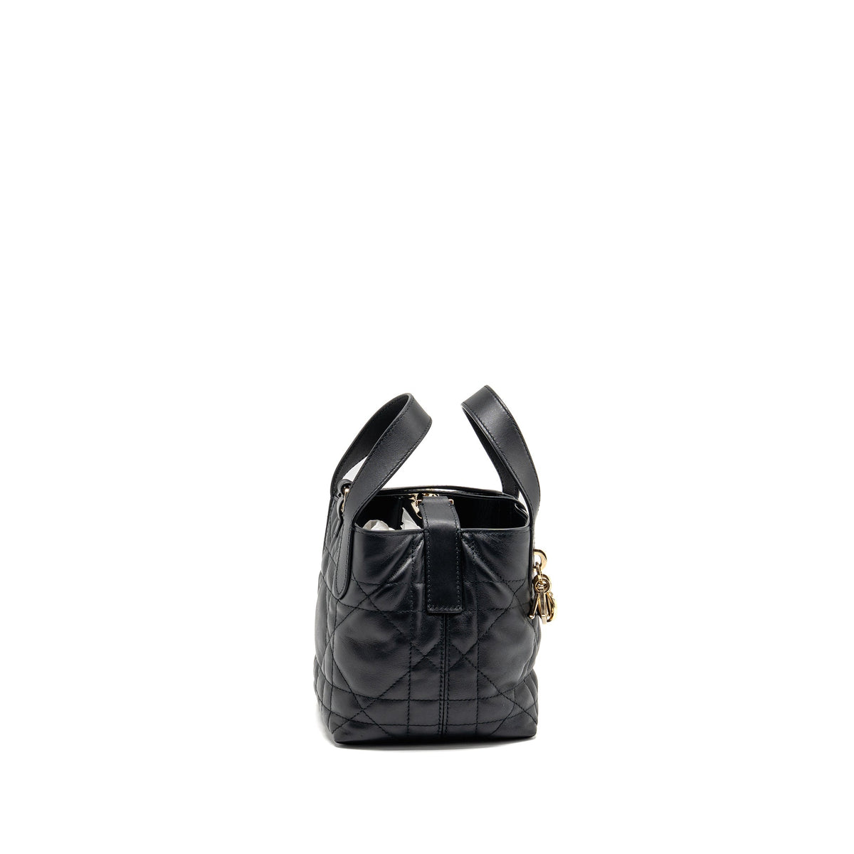 Dior Toujours Vertical Nano Tote Purse calfskin black Rovelle Bags