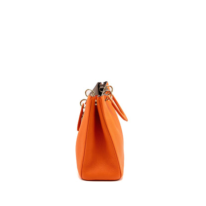 Dior large diorissimo tote Purse calfskin multicolor orange / brown Rovelle Bags