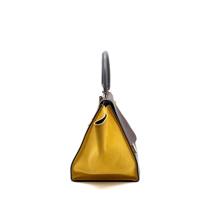 Celine Trapeze Purse Multicoloured