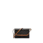 Luxury CELINE wallet on strap triomphe canvas / leather tan