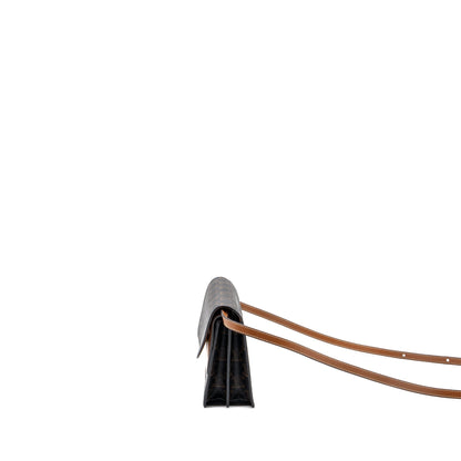 Luxury CELINE Wallet On Strap Triomphe Canvas/ Lambskin Tan